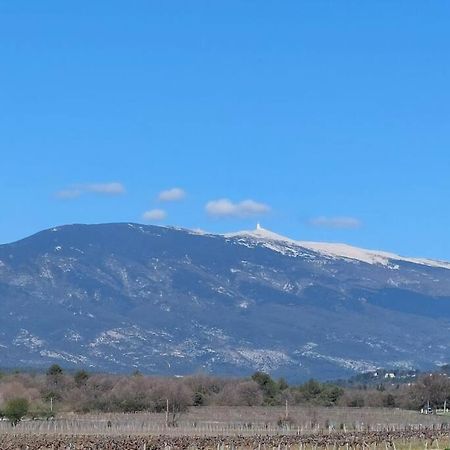 Mon Ventoux Villa Modene Kültér fotó